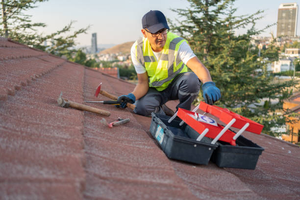 Best Insulated Siding Installation  in Waikoloa Village, HI